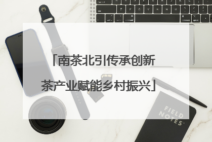 南茶北引传承创新 茶产业赋能乡村振兴