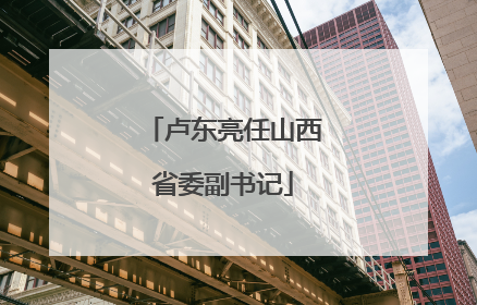 卢东亮任山西省委副书记