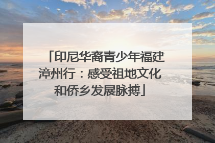 印尼华裔青少年福建漳州行：感受祖地文化和侨乡发展脉搏