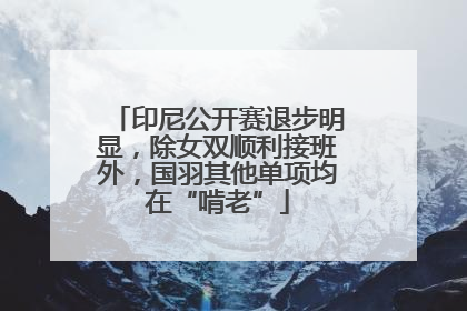 印尼公开赛退步明显，除女双顺利接班外，国羽其他单项均在“啃老”