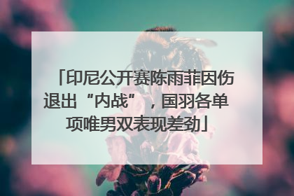 印尼公开赛陈雨菲因伤退出“内战”，国羽各单项唯男双表现差劲