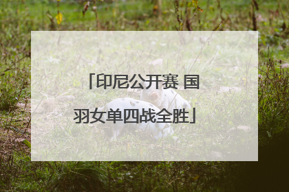 印尼公开赛 国羽女单四战全胜