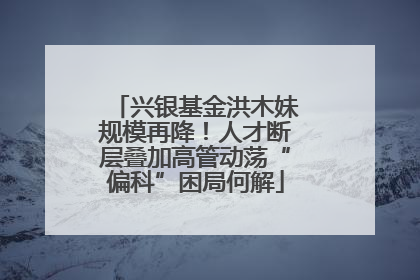 兴银基金洪木妹规模再降！人才断层叠加高管动荡“偏科”困局何解