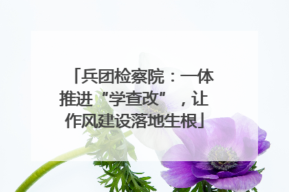 兵团检察院：一体推进“学查改”，让作风建设落地生根