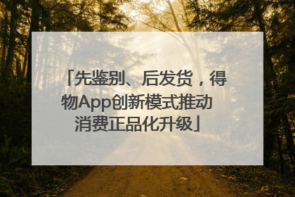 先鉴别、后发货，得物App创新模式推动消费正品化升级