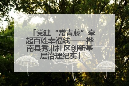 党建“常青藤”牵起百姓幸福线——桦南县秀北社区创新基层治理纪实