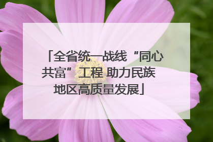 全省统一战线“同心共富”工程 助力民族地区高质量发展