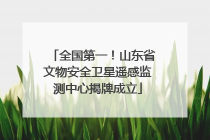 全国第一！山东省文物安全卫星遥感监测中心揭牌成立