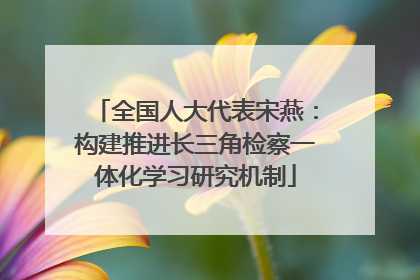 全国人大代表宋燕：构建推进长三角检察一体化学习研究机制