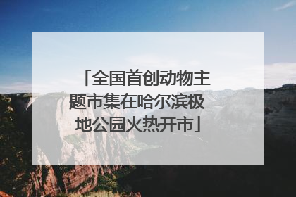 全国首创动物主题市集在哈尔滨极地公园火热开市