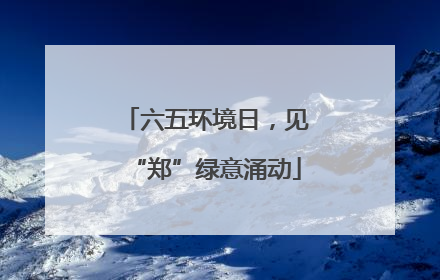 六五环境日，见“郑”绿意涌动