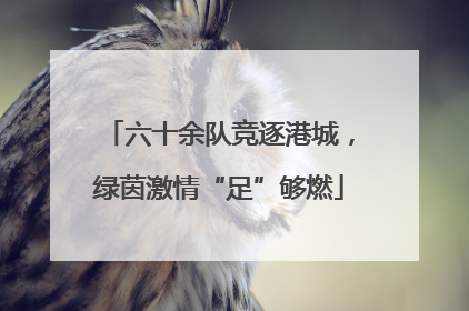 六十余队竞逐港城，绿茵激情“足”够燃