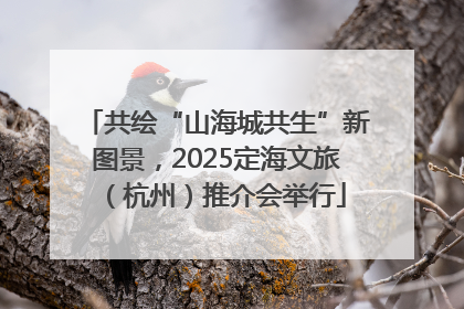 共绘“山海城共生”新图景，2025定海文旅（杭州）推介会举行