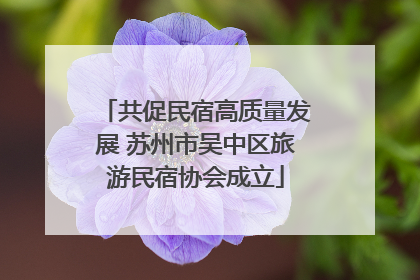 共促民宿高质量发展 苏州市吴中区旅游民宿协会成立