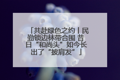 共赴绿色之约丨民勤锁边林带合围 昔日“和尚头”如今长出了“披肩发”