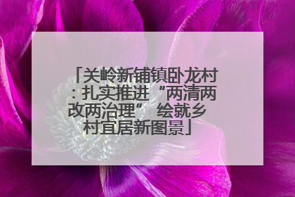 关岭新铺镇卧龙村：扎实推进“两清两改两治理” 绘就乡村宜居新图景
