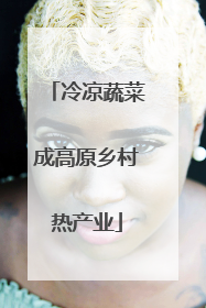 冷凉蔬菜成高原乡村热产业