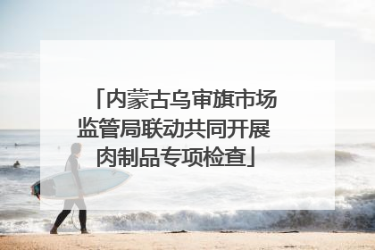 内蒙古乌审旗市场监管局联动共同开展肉制品专项检查