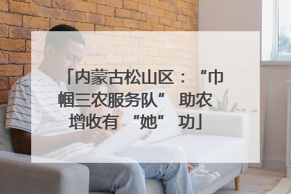 内蒙古松山区：“巾帼三农服务队” 助农增收有 “她” 功