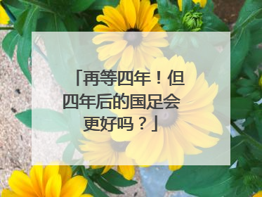再等四年！但四年后的国足会更好吗？