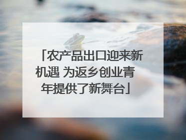 农产品出口迎来新机遇 为返乡创业青年提供了新舞台