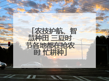 农技护航、智慧种田 三夏时节各地都在抢农时 忙耕种