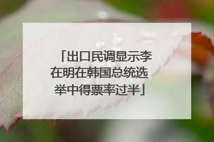 出口民调显示李在明在韩国总统选举中得票率过半