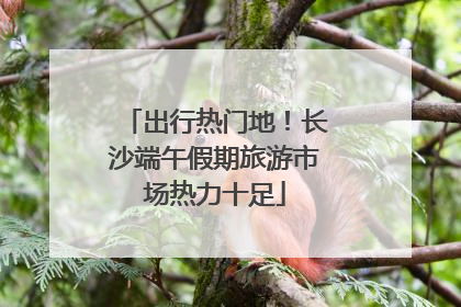 出行热门地！长沙端午假期旅游市场热力十足