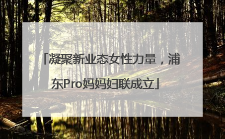 凝聚新业态女性力量，浦东Pro妈妈妇联成立