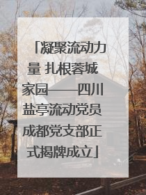 凝聚流动力量 扎根蓉城家园——四川盐亭流动党员成都党支部正式揭牌成立