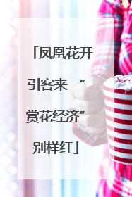 凤凰花开引客来 “赏花经济”别样红