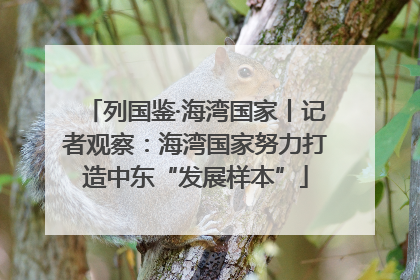 列国鉴·海湾国家丨记者观察：海湾国家努力打造中东“发展样本”