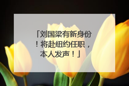 刘国梁有新身份！将赴纽约任职，本人发声！