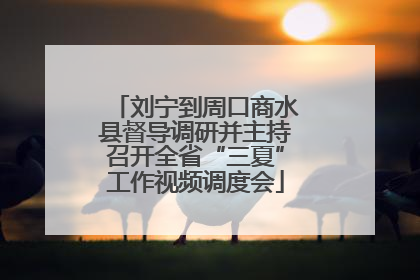 刘宁到周口商水县督导调研并主持召开全省“三夏”工作视频调度会