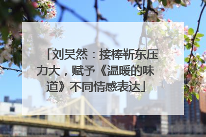 刘昊然：接棒靳东压力大，赋予《温暖的味道》不同情感表达