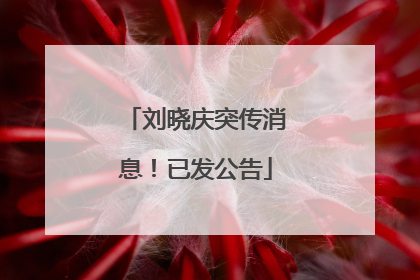 刘晓庆突传消息！已发公告