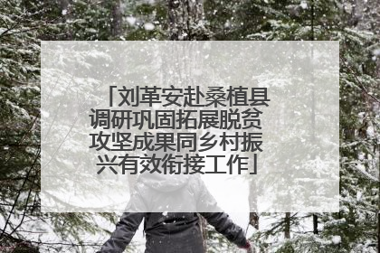 刘革安赴桑植县调研巩固拓展脱贫攻坚成果同乡村振兴有效衔接工作