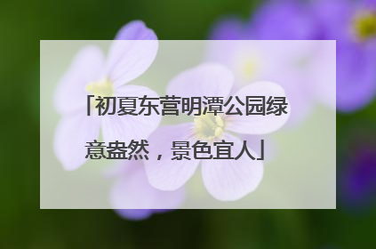 初夏东营明潭公园绿意盎然，景色宜人