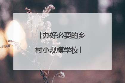 办好必要的乡村小规模学校