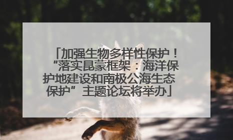 加强生物多样性保护！“落实昆蒙框架：海洋保护地建设和南极公海生态保护”主题论坛将举办