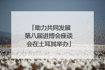 助力共同发展 第八届进博会座谈会在土耳其举办