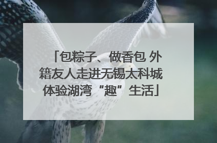 包粽子、做香包 外籍友人走进无锡太科城体验湖湾“趣”生活