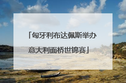 匈牙利布达佩斯举办意大利面桥世锦赛