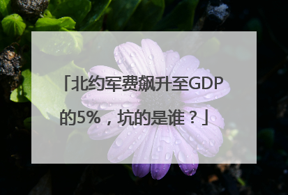 北约军费飙升至GDP的5%，坑的是谁？