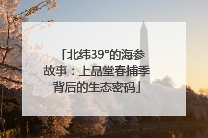 北纬39°的海参故事：上品堂春捕季背后的生态密码