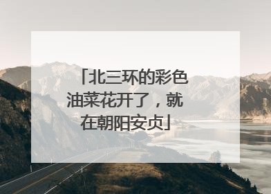 北三环的彩色油菜花开了，就在朝阳安贞