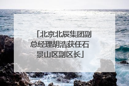 北京北辰集团副总经理胡浩获任石景山区副区长