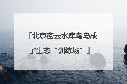 北京密云水库鸟岛成了生态“训练场”