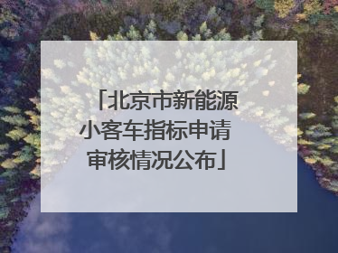 北京市新能源小客车指标申请审核情况公布