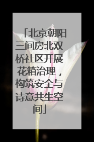 北京朝阳三间房北双桥社区开展花箱治理，构筑安全与诗意共生空间